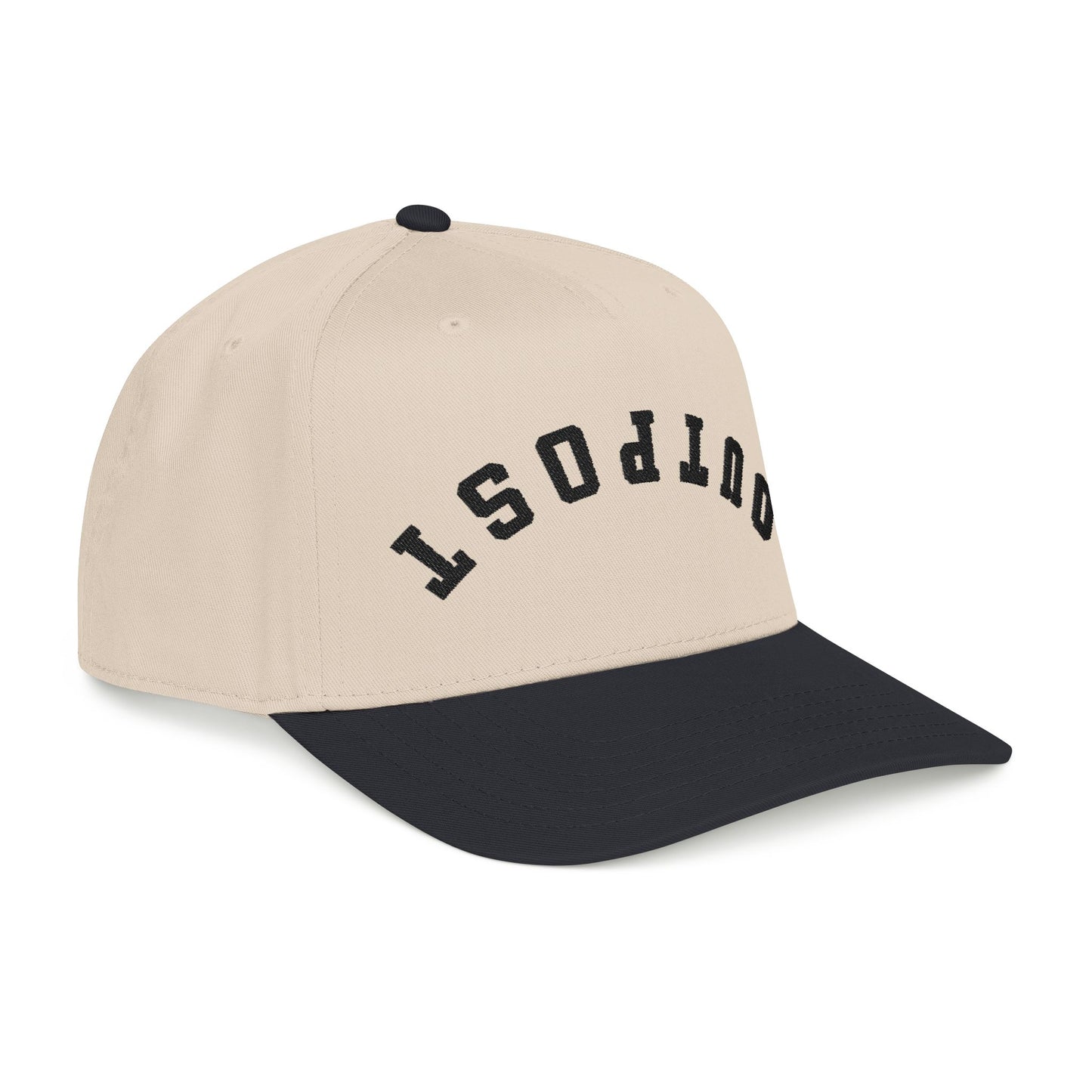 Embroidered Snap-Back Cap